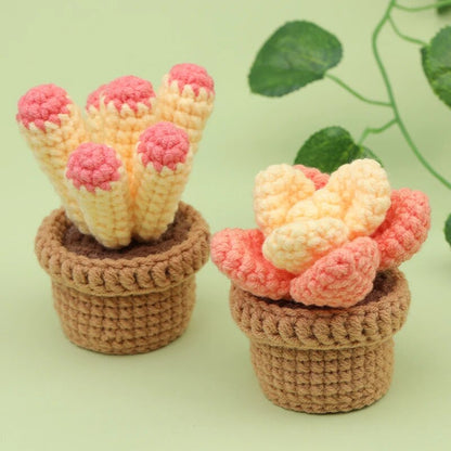 Buddy Pals™  Crochet Kits- Cactus Friends